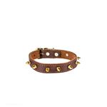 Red Oak Gladiator Leather Collar