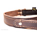 Monster II Leather Collar