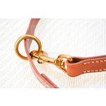 LPNY Hybrid Brown Leather Dog Collar