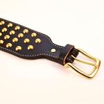 Leather Paws Champion Extra Wide Leather Collar