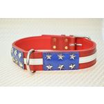 LPNY USA Pride Leather Dog Collar1