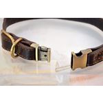 Quick Release Leather Collar