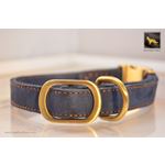 Quick Release Blue Suede Leather Collar