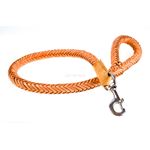 Monster Braid Leather Leash