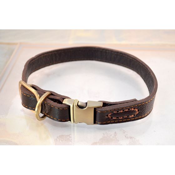 Quick Release Leather Collar