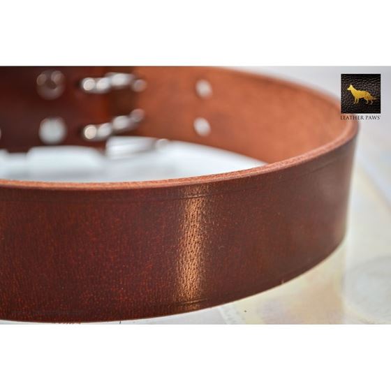 Mahogany Leather Collar