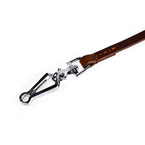 Quick Release Leather Leash