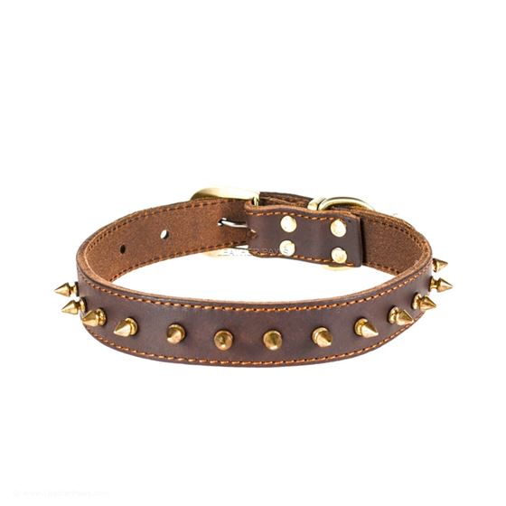 Red Oak Gladiator Leather Collar