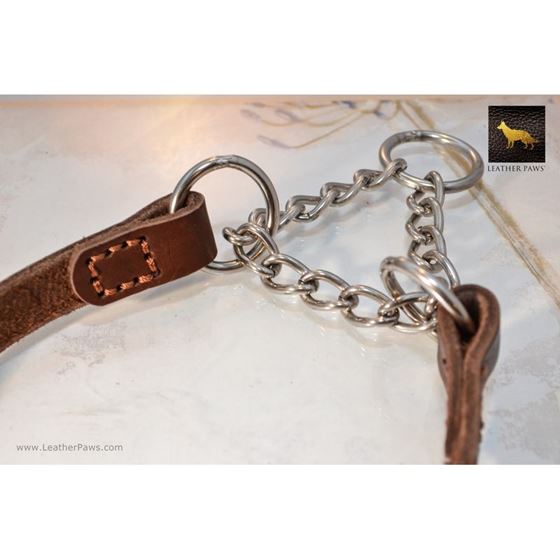 Halter Martingale Leather Collar