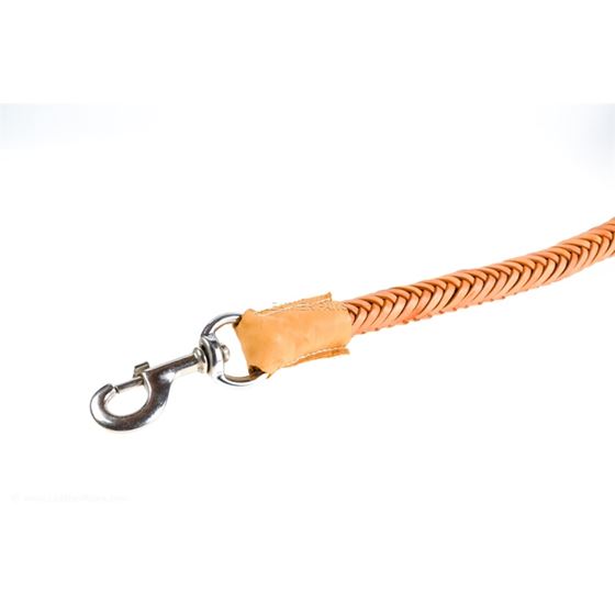 Special Edition Beige Leash - Luxurious leather dog leash in beige