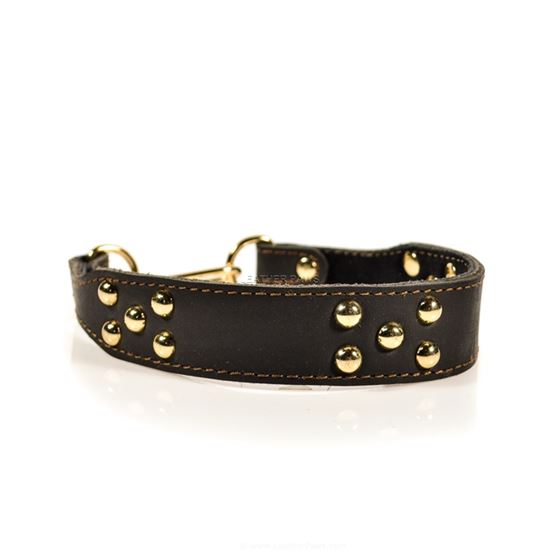 Gold Martingale Leather Collar