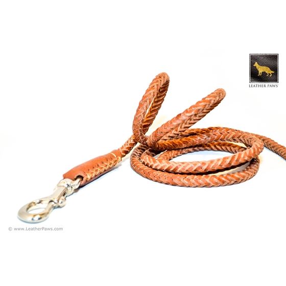 lightweight chain dog leash