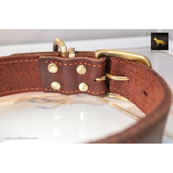 Rusty Red Oak Leather Collar