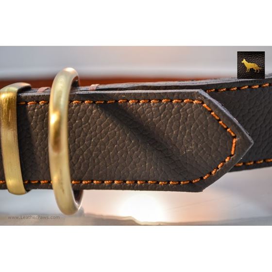 Horizon Leather Collar